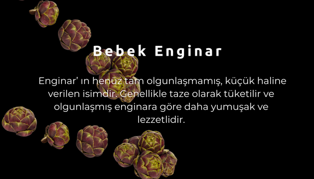 urla enginar festivali5
