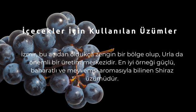 grapes2