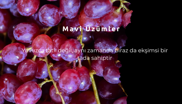 grapes5